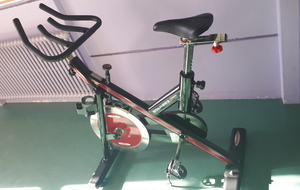 A VENDRE VELO SPINNING