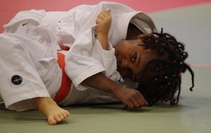 55b4f84430cff_ASHJudo.JPG