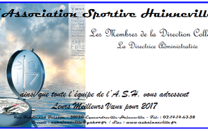 586b7f8817d2e_Voeux2017.png