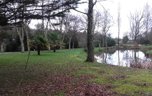 58ecaa6d410d5_nouainville7.jpg
